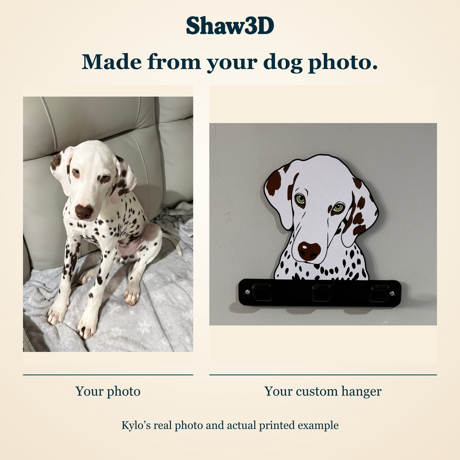 Actual dog photo beside the finished three-hook leash hanger